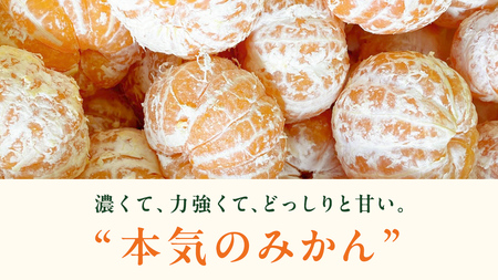 オーガニック 瀬戸内みかん 3kg (30~40個程度)  【2026年10月中旬～1月発送】