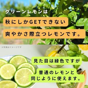グリーンレモン 約2kg 【2026年 10月 ～ 11月 発送】 先行予約