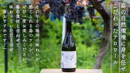 瀬戸内 の ナチュールワイン 750mL 【Vignoble de NAKA 2023 rouge MBA】
