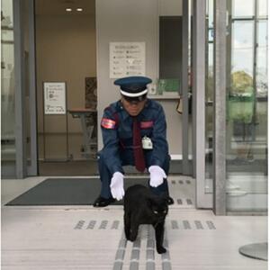 尾道市立美術館オリジナル「黒ねこ刺繍Tシャツ（白・Ｍサイズ）＆警備員ピンバッジ」（Ｔシャツ刺繍位置：袖）