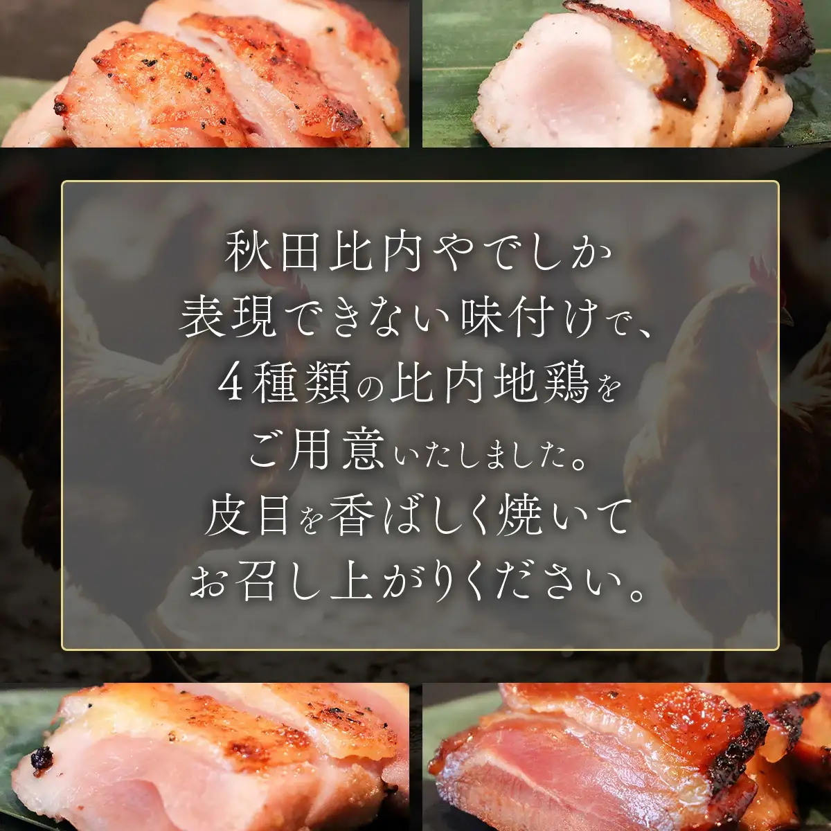 スペシャル比内地鶏　110P2302