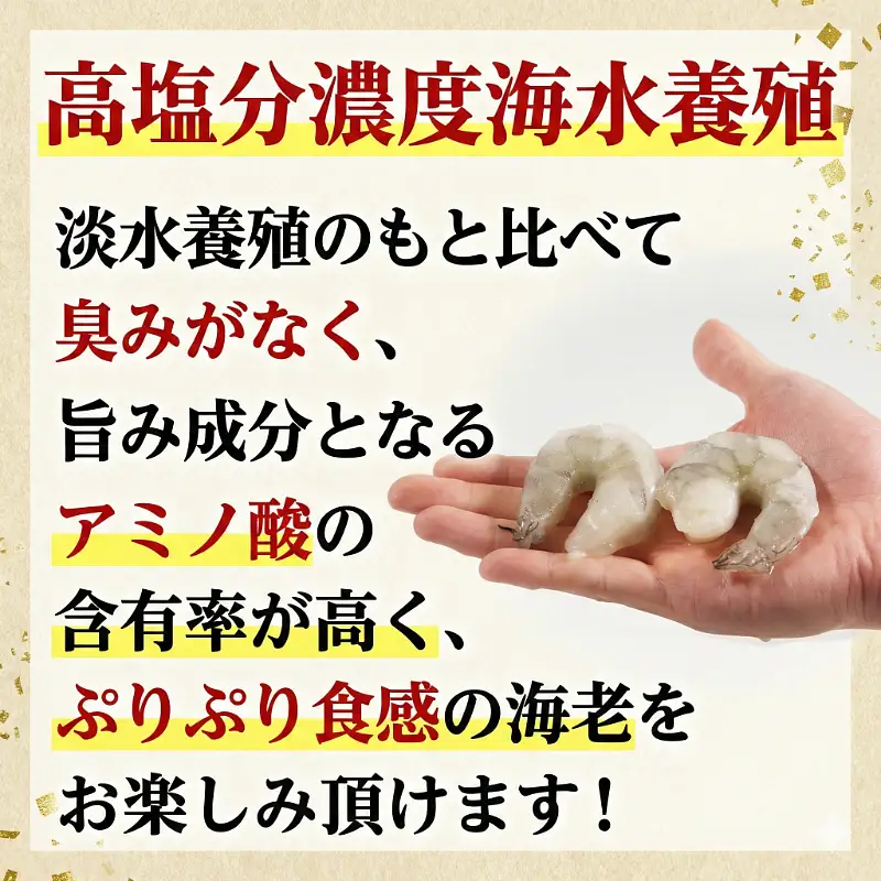 定期便 3回 むきえび 特大 バナメイエビ 約1.2kg