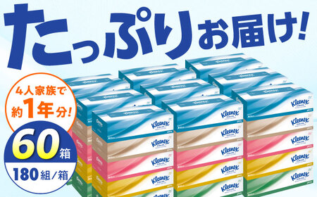 【全3回定期便(2ヵ月に1回)】クリネックス ティシュー 60箱(5箱×12パック ) ティッシュ  [BDBH001-3]
