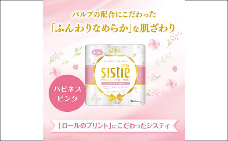 【全2回定期便(3ヵ月に1回)】クリネックス システィ（ダブル） 40ロール(4ロールｘ10パック) トイレットペーパー [BDAM006]