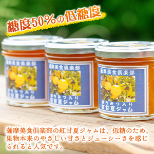 isa631 手作りはちみつ入り紅甘夏ジャム(計9個・各140g) 加工食品 果物 フルーツ 詰め合わせ 果肉 柑橘 低糖 ハンドメイド ジャム ギフト 【薩摩美食倶楽部】
