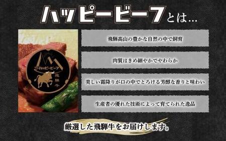 飛騨牛 赤身ヒレ 300g ステーキ JQ024VC13｜ 飛騨牛 フィレ