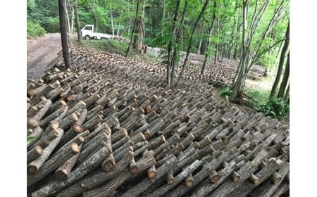 【規格外・訳あり】原木栽培の天然しいたけ〜「日本農業賞」大賞受賞の農園〜　｜しいたけ