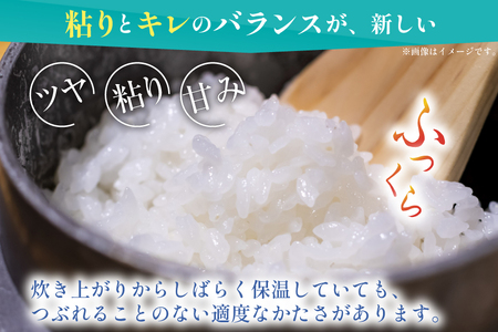 米 無洗米 令和7年 青森県産 青天の霹靂 2合 スティック 15本 セット 化粧箱入り [わか本米店 青森県 おいらせ町 oi02ayo800025]