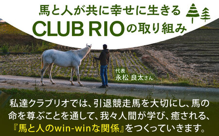 【幸せな第二の馬生を】引退競走馬支援 25,000円 【CLUB RIO】 支援 動物支援 動物保護 返礼品なし[HBY005]