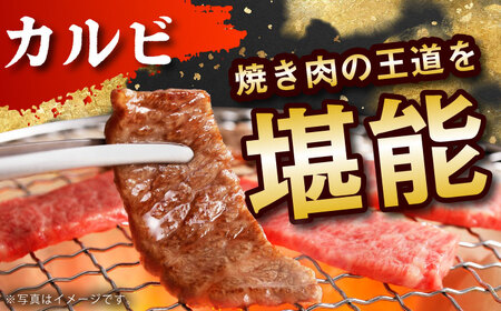 【偶数月発送】佐賀牛リッチセレクション定期便【多久精肉店】HCX007 肉セット 佐賀牛 焼肉 カルビ ロース サーロイン カルビ 赤身 ハンバーグ ステーキ 焼肉