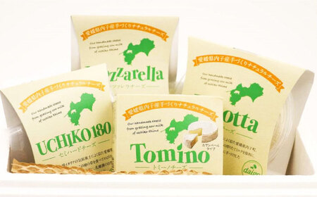 ナチュラルチーズ詰め合わせ モッツァレラチーズ リコッタチーズ BKAH001