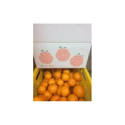 【 野菜 】 野菜8回定期便