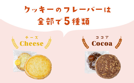 クッキー 焼菓子 丹沢カントリークッキー（20枚入）
