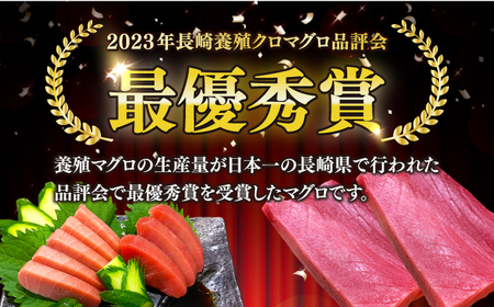 冷蔵！生本マグロ 中トロ 計約400g マグロ まぐろ 鮪 刺身 五島列島産養殖 [RBN016] 本マグロ 本まぐろ 本マグロ 本まぐろ 本マグロ 本まぐろ 本マグロ 本まぐろ九州 長崎