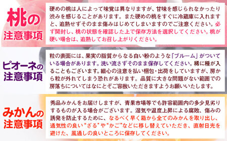 人気フルーツ全3回定期便（7月・9月・11月）定期便 フルーツ