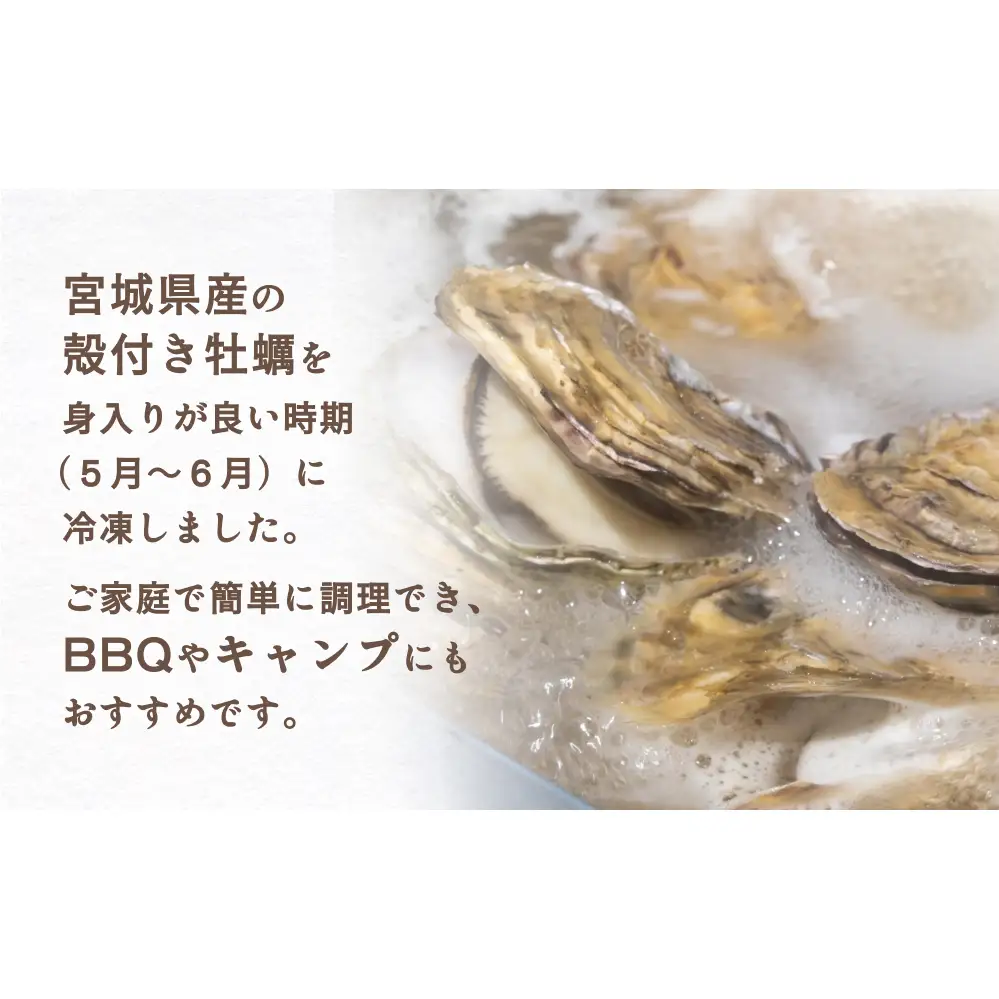 牡蠣 宮城県産 冷凍 殻付き かきカン缶焼きセット 1.5kg 約 10個〜15個