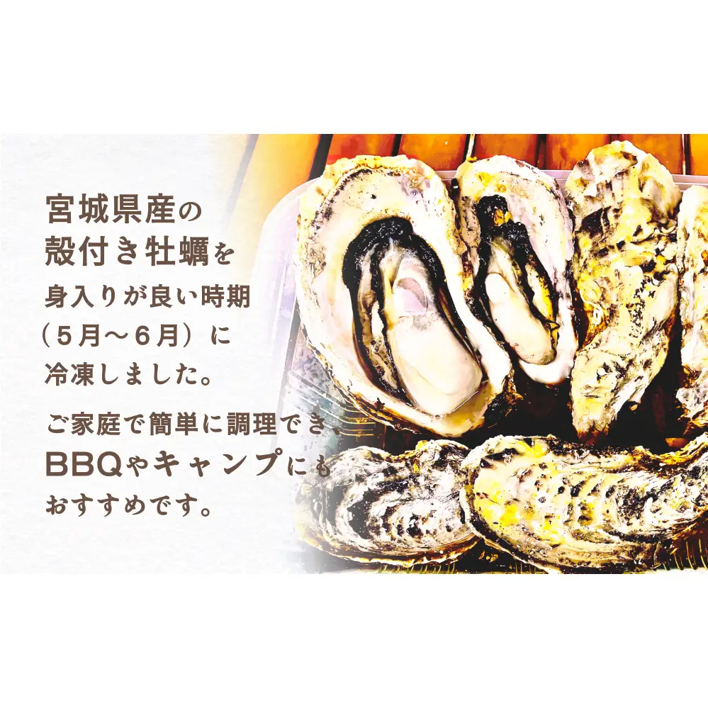 殻付きかき レンジ1P 簡単調理 BBQ 牡蠣 カキ 蒸し牡蠣 三陸 海鮮 魚介 海鮮物 レンジで簡単調理 