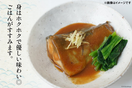 焼き魚 煮魚 夜ごはん 5種×各2袋 計10袋 セット [南三陸さんさんマルシェ 宮城県 南三陸町 m304amh600077]