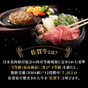 【6回定期便（奇数月）】中山牧場 厳選ギフト定期便 ／ 佐賀牛 牛肉 肉【Z113】