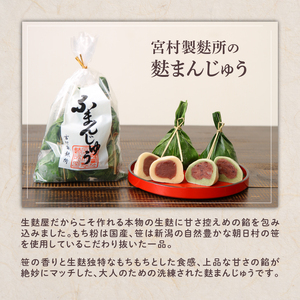 麩まんじゅう食べ比べセット 10個入｜饅頭 饅頭 饅頭 饅頭 饅頭 饅頭 父の日 miyamura005