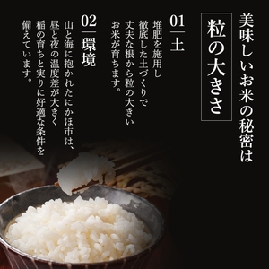秋田県産 ひとめぼれ 10kg (5kg×2) 令和7年産〈土づくり実証米〉JAしんせい
