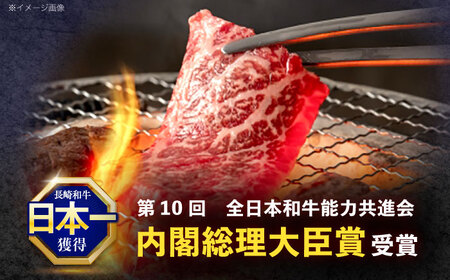 長崎和牛 焼肉用 赤身スライス600g (モモ・ウデ 各300g)[OCE096]