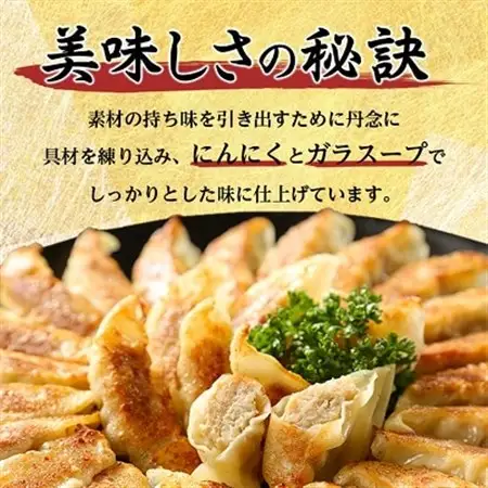 鉄人餃子　300個(30個×10袋)_惣菜・加工品 餃子  ぎょうざ ギョウザ_【配送不可地域：離島】【1469397】
