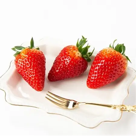 令和8年度　春いちご　古都華　約300g×4パック　合計約1200g_果物・フルーツ いちご  イチゴ 苺_【配送不可地域：離島・北海道・沖縄県】【1486658】