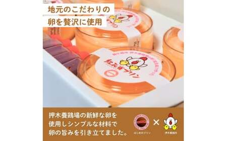 こだわりの紅孔雀の卵を使用したプリン5個セット【配送不可地域：離島】 | プリン ぷりん 洋菓子 お菓子 デザート おかし 食べ比べ 味比べ ギフト 贈答用 プリン専門店 スイーツ お取り寄せ 内祝い 取り寄せ お取り寄せグルメ お歳暮 お祝い 厳選素材 ご褒美 セット 新鮮 人気 卵 こだわり 濃厚 茨城県 龍ケ崎市