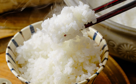 秦野のお米「さとじまん」5kg｜米 国産米