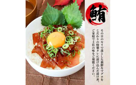 訳あり 鯛の漬け丼＆マグロの漬け丼 各5P 計10P