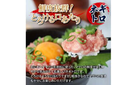 訳あり 鯛の漬け丼＆マグロのネギトロ 各5P 計10P