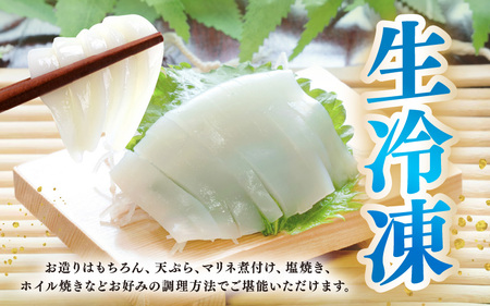 若狭アオリイカ 刺身用 1~4枚 (合計150g)《-60℃で急速冷凍》 下処理済みだからシンクも汚れず大好評！福井 地物 海鮮 刺身 アオリイカ あおりいか いか イカ イカ丼 海鮮丼 魚介 [m17-a070]