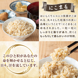 K-391-F 【6回定期便】令和7年産 てまひま米・玄米(品種:にこまる)(計30kg：5kg×6回)【末蜜農園】霧島市 お米 玄米 米 こめ コメ ご飯 ごはん 定期便 栽培期間中農薬不使用