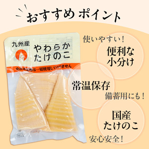 i1056 国産たけのこ水煮 穂先のみ (計1.7kg・170g×10P) 小分け 国産 九州産 たけのこ 筍 タケノコ  水煮 常温保存 常温 料理 煮物 炊き込みご飯 おでん 料理 お手軽 【旬彩館】