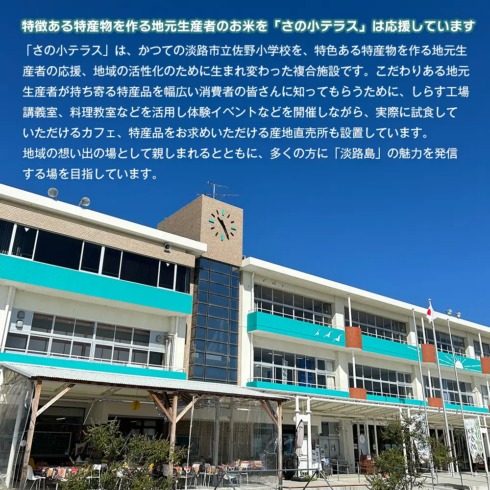 令和７年度 淡路島産キヌヒカリ 5kg （白米）