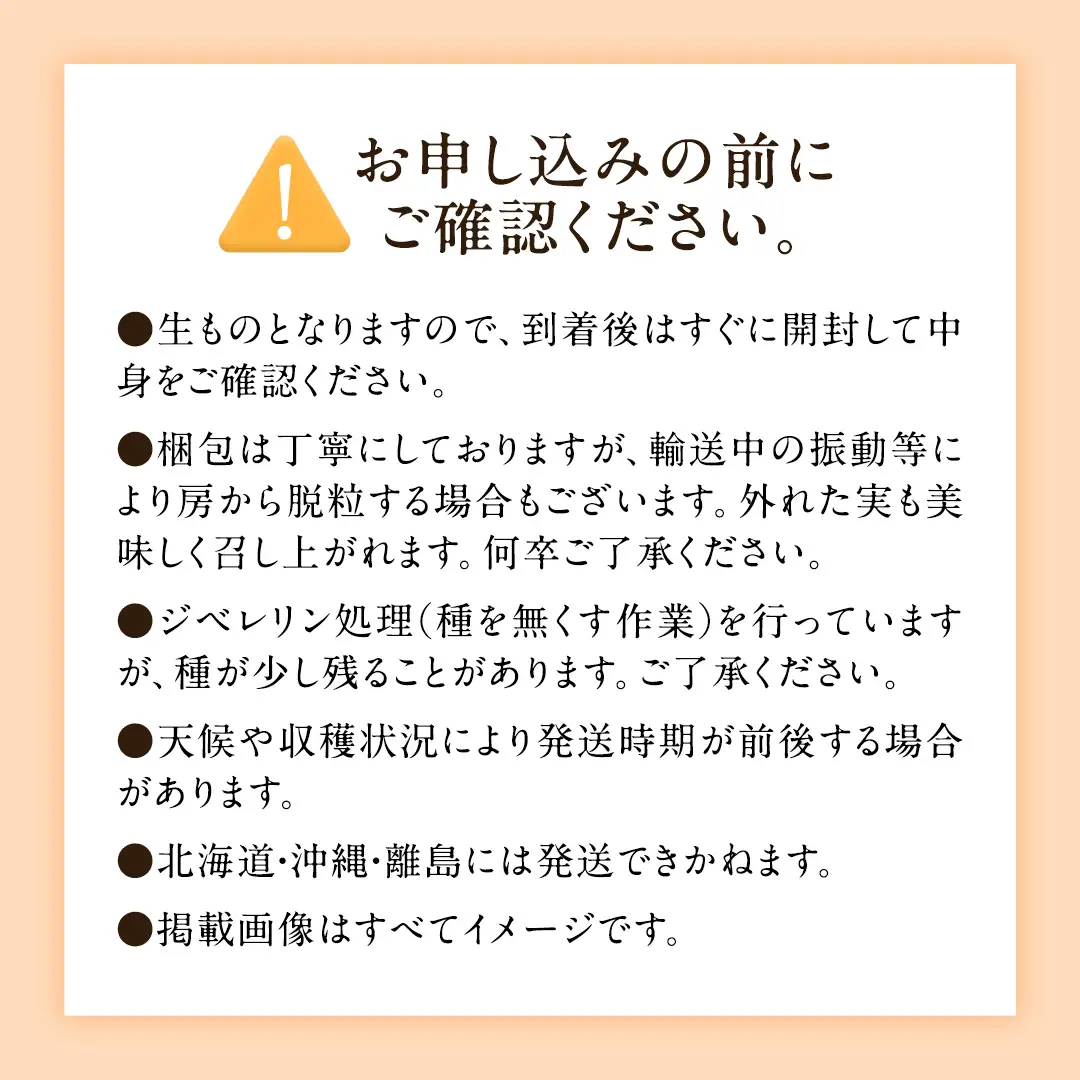 【2026年9月中旬発送開始】《先行予約》シャインマスカット ご自宅用 約 1kg  ( 2房 ～ 3房 ) ( 茨城県共通返礼品 かすみがうら市 ) マスカット 葡萄 ぶどう ブドウ 歯ごたえ 甘み 香り 鈴木農園 [ED005sa]
