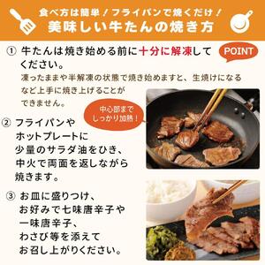 牛タン 塩味 熟成 100g×2袋（約2人前） 牛タン