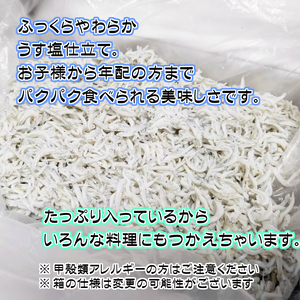 【訳あり】無添加☆釜揚げしらす！約700ｇ 【家庭用簡易包装】【ご用意ができ次第、順次発送いたします】 【NGT14】【BL90004-ngt304】