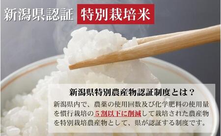 新潟県上越市産　特別栽培米 新之助 令和7年産 5kg（5kg×1袋） ご飯 おにぎり