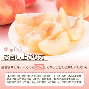 岡山市産 白桃 ご家庭用 約1.5kg 5~6玉 ＜2026年7月上旬～8月下旬頃出荷＞