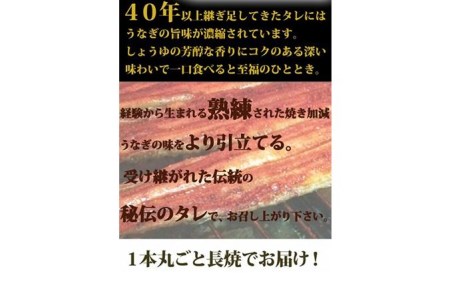 大型サイズ ふっくら柔らか国産うなぎ蒲焼き 2尾◇｜うなぎ うなぎ うなぎ うなぎ