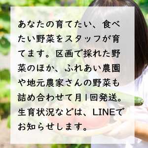 足柄ふれあい公園 体験農園 畑オーナープラン（12か月）