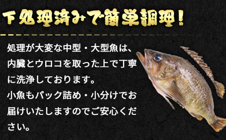 定期便】北海道産 訳あり 冷凍鮮魚セット Lサイズ 2.8～3.2kg 年4回お