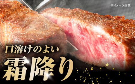 【最速発送】土佐あかうし 塊肉ステーキ 約500g（サーロイン）【株式会社Dorago】[ATAM045]　スピード 最短 最速 発送