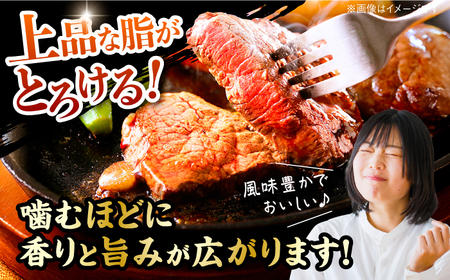 【最速発送】土佐あかうし 塊肉ステーキ 約500g（うで）【株式会社Dorago】[ATAM047]　スピード 最短 最速 発送