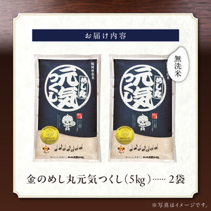 【無洗米】金のめし丸元気つくし 10kg（5kg×2袋）令和7年産_ 米 〔Gr057〕