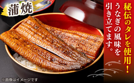 うなぎ うなぎ老舗専門店のパリっとふっくら 紅白うなぎ 蒲焼・素焼半身　(真空パック/秘伝のタレ・藻塩付き) 島根県松江市/株式会社山美世商会[ALDC004] うなぎ うなぎ