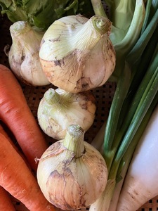 丸山農園の野菜セット 中セット 3~4人用 おまかせ 6?8品目 無農薬 くらしを耕す会 野菜 やさい サラダ 健康 人参 玉ねぎ 大根