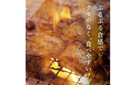 牛小腸味噌　200g×4袋　【11100-1112】
